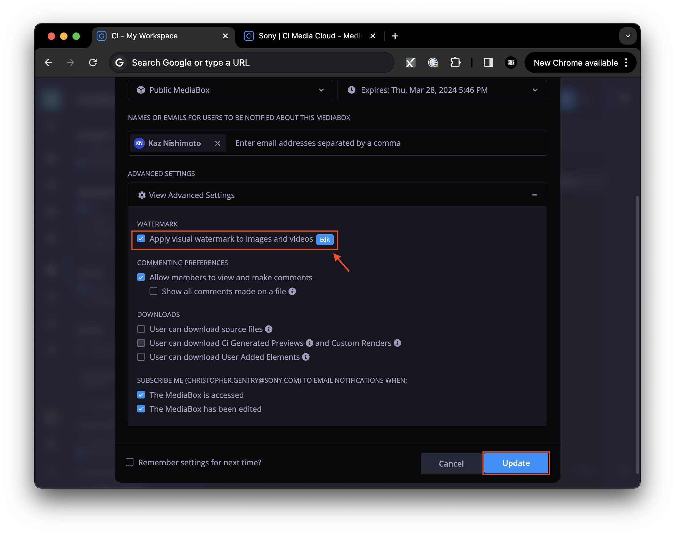 Visual Watermark & Download – SONY | Ci Customer Success