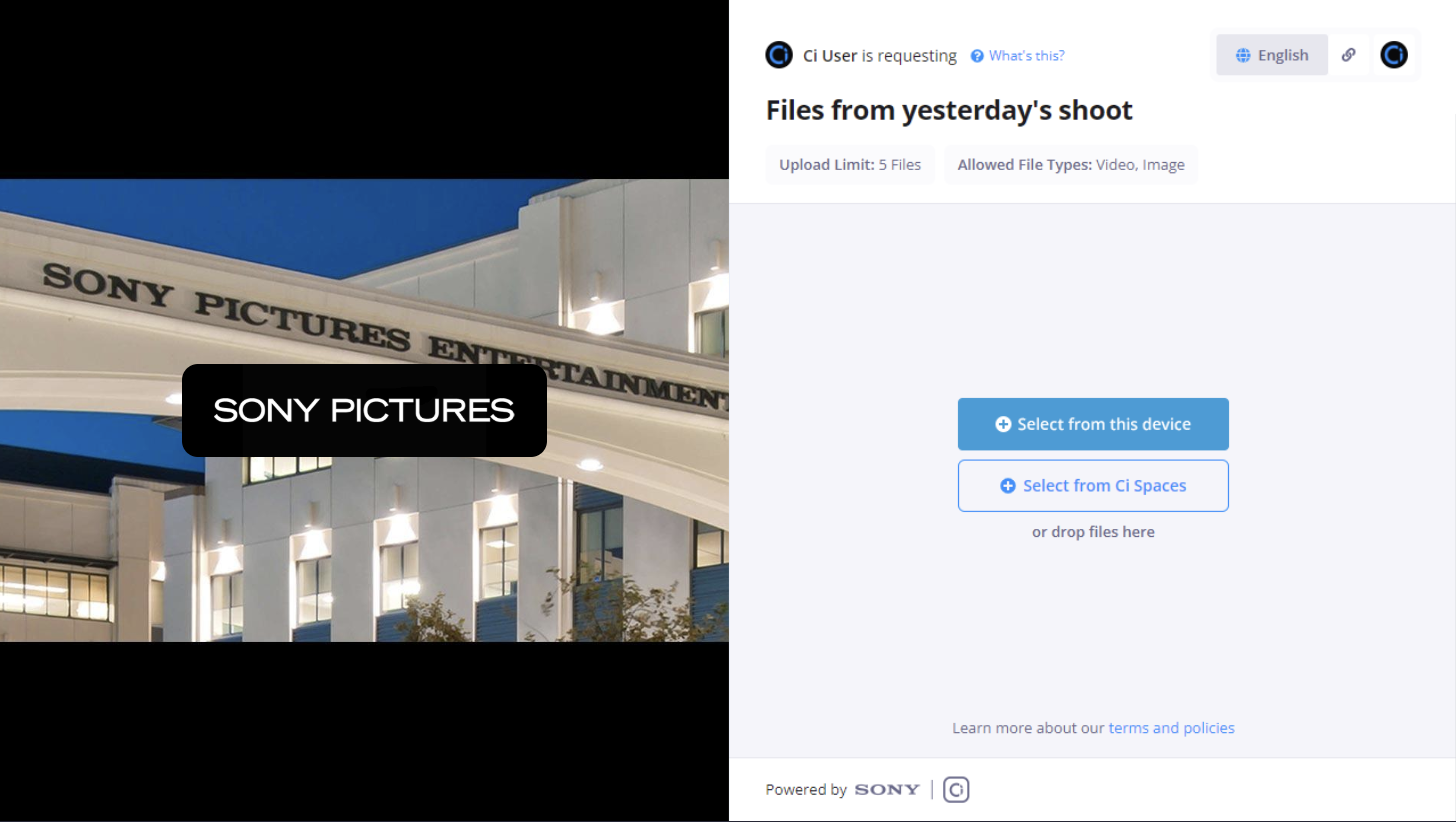 CompanyBranding_FileRequest.png