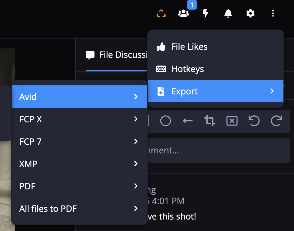 VideoReview_ExportFileTypes.png