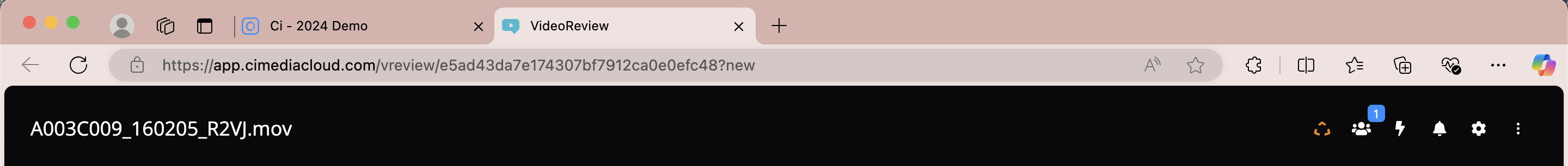 VideoReview_ToolBar.png