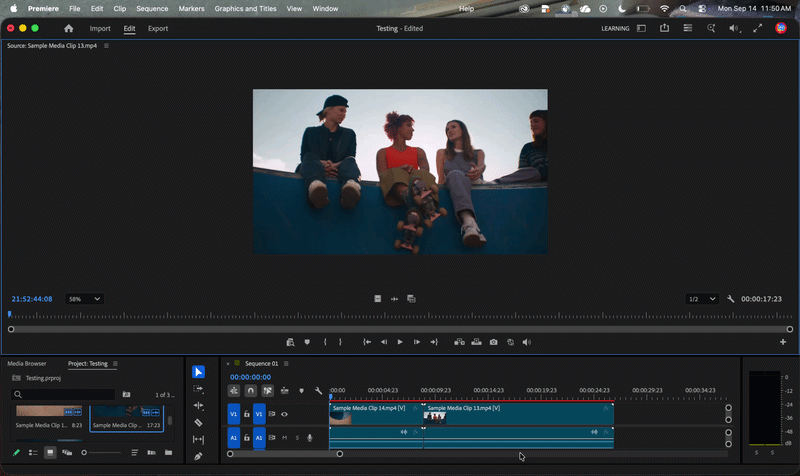 AccessCiPanel.gif