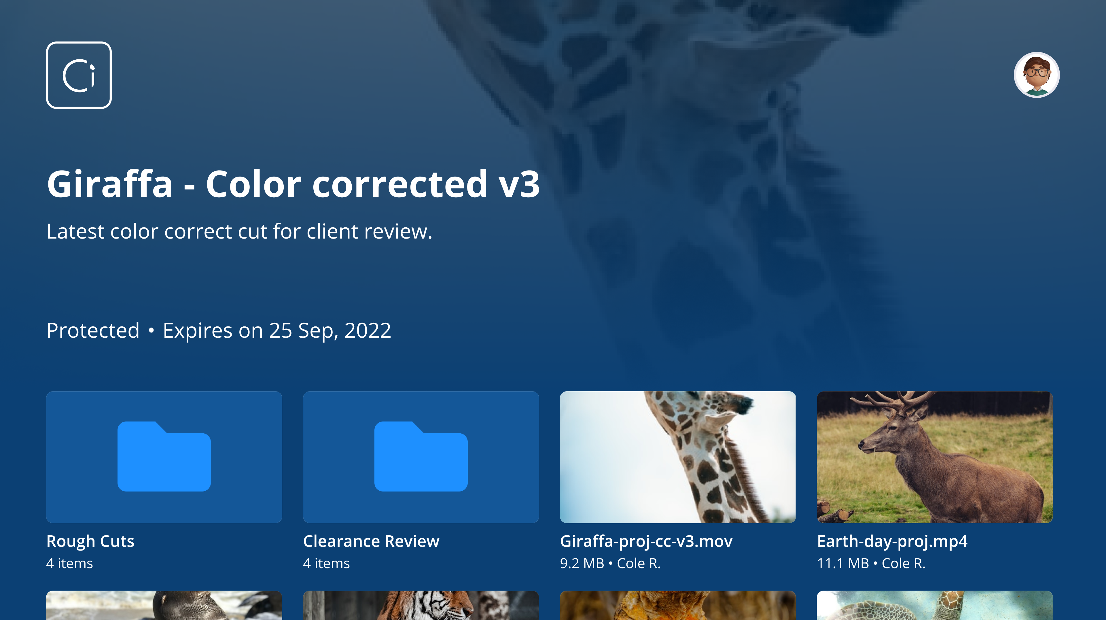 Ci_Workspace_Apple_TV_-_Dashboard_Spaces_-_Ci_Workspace-1.png